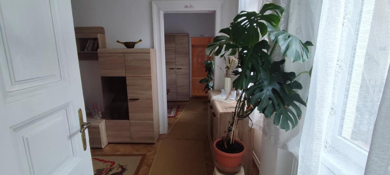 Julia Apartman. Budapest Extérieur photo